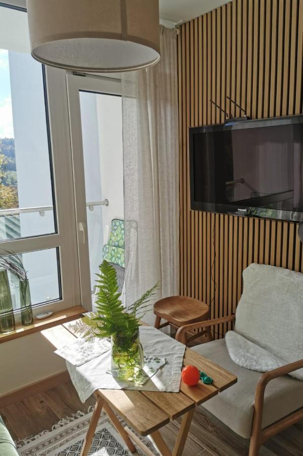 Hearth Hill View Apartment Устронь Экстерьер фото